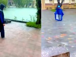 Hai người đàn ông mặc áo mưa 'chăn' cá Koi trên đường ngập