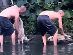 Người đàn ông cứu sống chú chó bị đuối nước