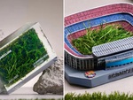 CLB Barcelona bán cỏ kiếm tiền cải tạo sân Nou Camp