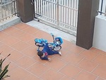 Bé trai giả vờ ngã xe đạp để được chị bế