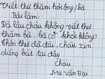 'Cười chảy nước mắt' với những bài văn bá đạo của học trò