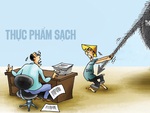 Thực phẩm bẩn hoành hành: Nỗi lo giá đỗ ngâm hóa chất