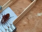 Cười sảng với thanh niên chế tạo máy bắt gián