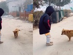 Chú chó nhún nhảy siêu đáng yêu cùng cậu chủ