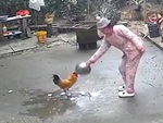 Cô chủ nổi đóa vì gà trống hổ báo
