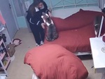 Chú mèo giơ chân đòi cô chủ bế như em bé
