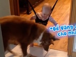 Em bé thích thú khi được chú chó dạy học nhảy