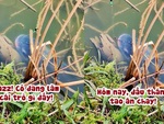 Cần thủ chán không buồn nói khi gặp con cá 'ăn chay'