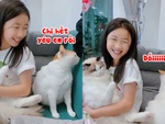 Chú mèo giận dỗi vì ghen tị với đồng bọn được bế