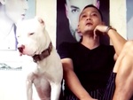 Chú chó ngồi ngáp ngủ khi nghe sen hát