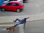 Chàng trai sang đường bị chó quét trụ ngã dập mông