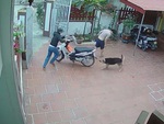 Chàng trai nhảy quay xe máy với 'chó nhà em ngoan lắm'