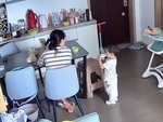 Cười sảng với bé trai hỏi tọc mạch 'chồng của mẹ đâu'