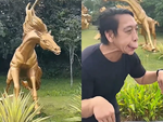 Những khoảnh khắc vô tri hài hước