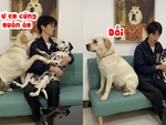 Chú chó hờn dỗi vì bị ông chủ chê béo