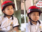 Ông ngoại bối rối khi cháu trai xin con gà mái đẻ mang về