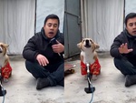 Chú chó ngồi trước micro hát theo ông chủ siêu ngầu