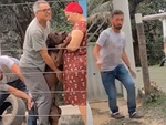 Pitbull cay cú rượt bác sĩ thú y khi bị tiêm