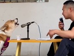 Chú chó hát song ca với cậu chủ siêu đỉnh