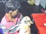 Chú chó ngủ ngon lành khi được ông chủ hát ru bằng cải lương