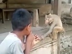 Bé trai bị 'Tôn Ngộ Không' cho ăn đạp khi ra oai múa võ