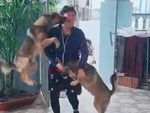 Cô chủ đi làm về bị chó cưng nựng sưng má