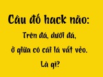 Câu đố hack não: Trên đá, dưới đá, ở giữa có cái lá vắt vẻo là gì?