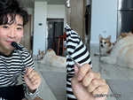Chú chó hiểu được cậu chủ nói tiếng Anh siêu đỉnh