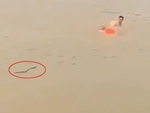 Hai người đàn ông tắm sông hoảng hồn khi thấy rắn bơi về phía mình