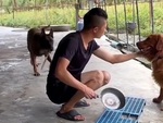 Chú chó hoảng hồn khi thấy đồng bọn lấy dao cho sen