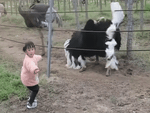 Đà điểu khiêu vũ cùng bé gái