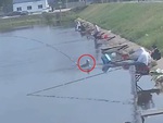 Cần thủ bị cá lôi ngã cắm đầu xuống ao