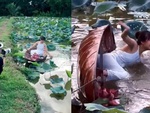 Cô gái ngã xuống hồ sen khi ngồi thuyền tạo dáng