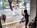 Người đàn ông nhanh trí cứu người đi đường thoát chết khi cây to bật gốc