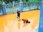 Mẹ cười sảng khi con trai 'vồ ếch' dưới sân