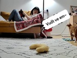 Chú mèo tinh nghịch khiến cô chủ nổi cáu