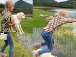 Cười sảng với cô chủ hậu đậu khi trêu chó