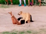 Chú chó hoảng hồn chạy 3 chân khi bị cô gái ngã đè lên người