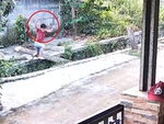 Bé trai ngã xuống mương vì nghịch ngợm cây cầu dừa