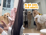 Cô chó điệu đà đòi mặc váy