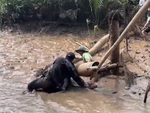 Ngã dập mông xuống rạch vì cố chấp