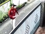 Chàng trai 'tránh vỏ dưa gặp vỏ dừa' khi bị chó rượt