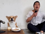 Chú chó song ca cùng ông chủ siêu đỉnh