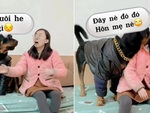 Phản ứng đáng yêu của chú chó khi bị chủ giả vờ không thấy