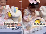 Chú chó xin ăn cô chủ siêu đáng yêu