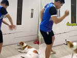 Chú chó nổi cáu với cậu chủ nhảy xấu còn đùa nhây