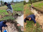 Vợ chồng tá hỏa khi tát nước bắt cá gặp phải rắn