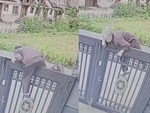 Cụ bà 92 tuổi trèo cổng trốn viện dưỡng lão