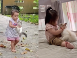 Những chú mèo hóa 'thú bông' khi chơi với cô chủ nhỏ