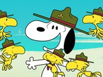 Hoạt hình về chú chó Snoopy trong trại hè rực rỡ